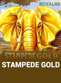 Stampede Gold icon